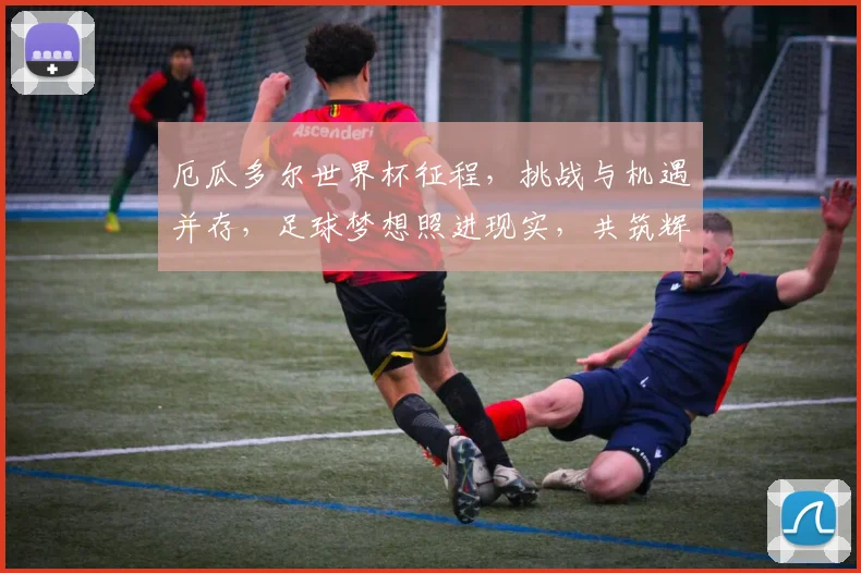 厄瓜多尔世界杯征程，挑战与机遇并存，足球梦想照进现实，共筑辉煌篇章。