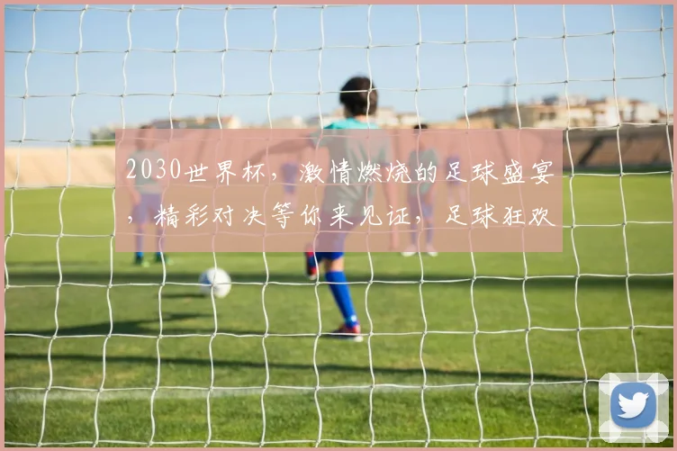 2030世界杯，激情燃烧的足球盛宴，精彩对决等你来见证，足球狂欢，不容错过