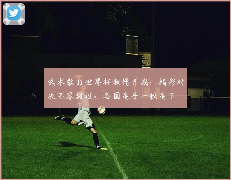 武术散打世界杯激情开战，精彩对决不容错过，各国高手一较高下