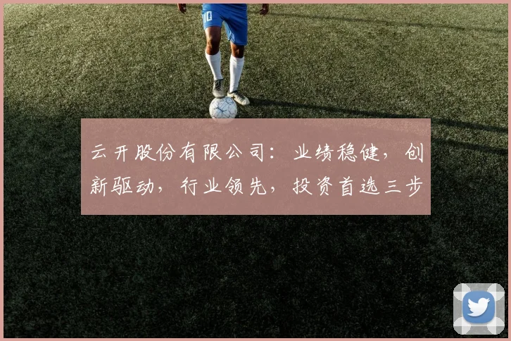云开股份有限公司：业绩稳健，创新驱动，行业领先，投资首选三步曲