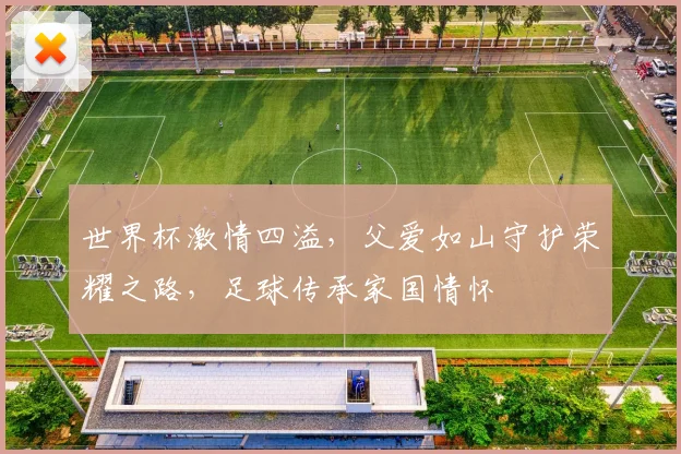世界杯激情四溢，父爱如山守护荣耀之路，足球传承家国情怀