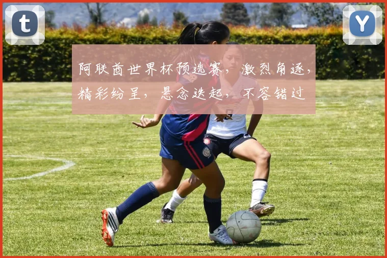 阿联酋世界杯预选赛，激烈角逐，精彩纷呈，悬念迭起，不容错过